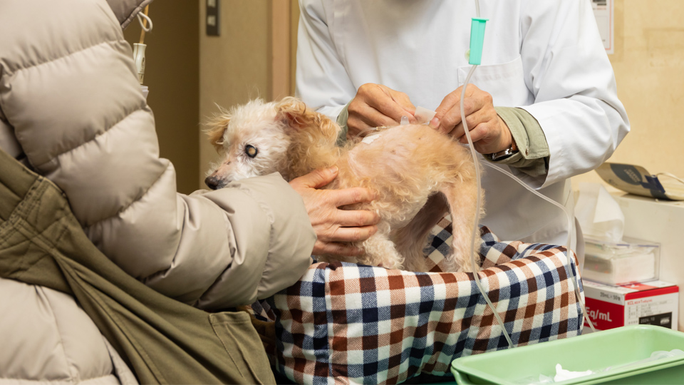 飼い主様と動物にとって、
最適な選択肢をともに考える。